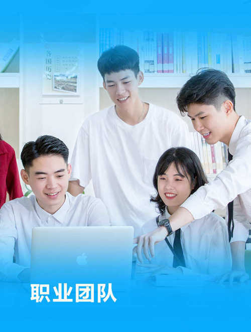 職業團隊
